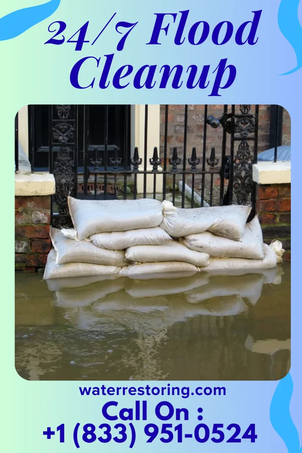 24/7 Flood Cleanup in Seabrook Island, SC
