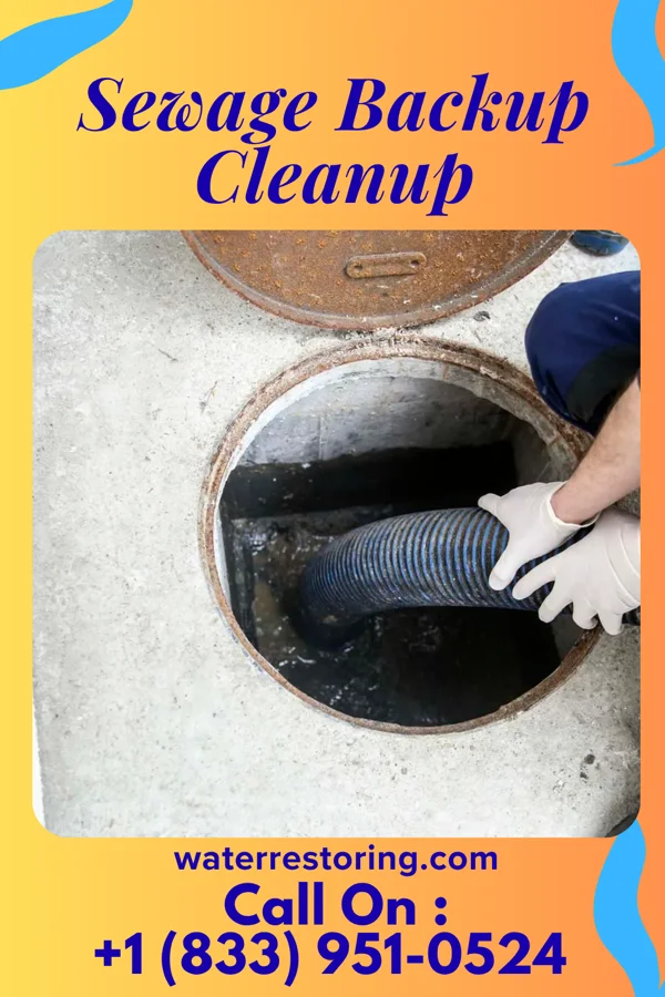 Sewage Backup Cleanup in Seabrook Island, SC
