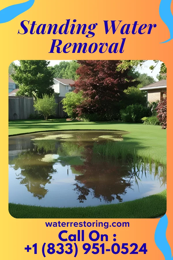 Standing Water Removal in Seabrook Island, SC